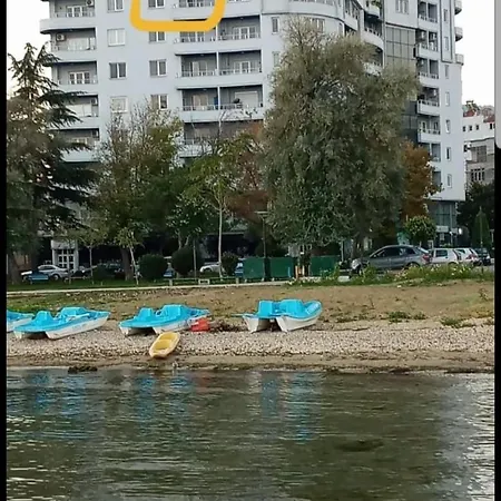Aldo's Πόγραδετς